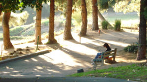 reading on bench_0