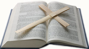 Palm Cross-Bible