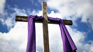 purple cross