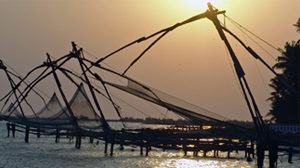 Fishing Nets