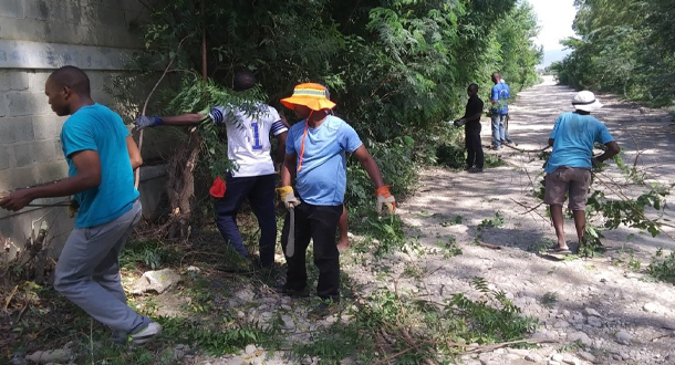 Our seminarians are working hard clearing some of the brush to make our roads a bit safer.