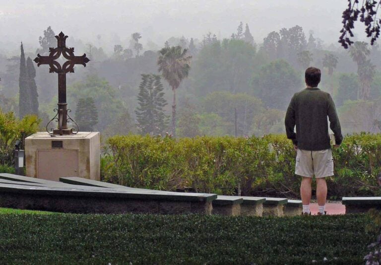 A person stands in contemplation at an outdoor scenic overlook on a misty day, facing away from the camera. In the foreground is a large iron cross mounted on a stone pedestal at Mater Dolorosa Passionist Retreat Center. The background features layers of green trees and faint silhouettes of palm trees and cypress trees fading into the mist. Overhead, branches and hanging wisteria flowers frame the scene.