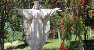 A white statue of Jesus with outstretched arms, representing the Sacred Heart, stands among green trees and red bottlebrush flowers in a peaceful garden setting.