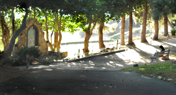 A peaceful, sunlit park pathway lined with tall trees casting long shadows. To the left, a small shrine or stone grotto is partially shaded beneath the canopy. On the right, a person sits alone on a bench, appearing to read or reflect. The scene evokes quiet contemplation, framed by nature and dappled light.