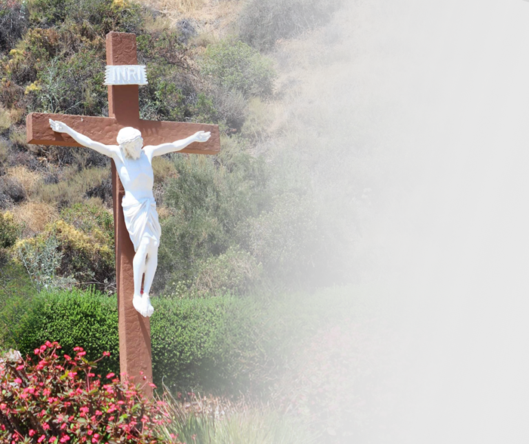 A crucifix outdoors with a southern California hill behind it and flora in front of it.