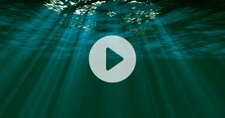 Water, Our Oldest Intimacy video still
