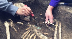 Archaeologists carefully excavate a human skeleton partially uncovered in the soil using small hand tools.