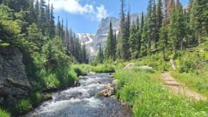 A mountain stream in Colorado